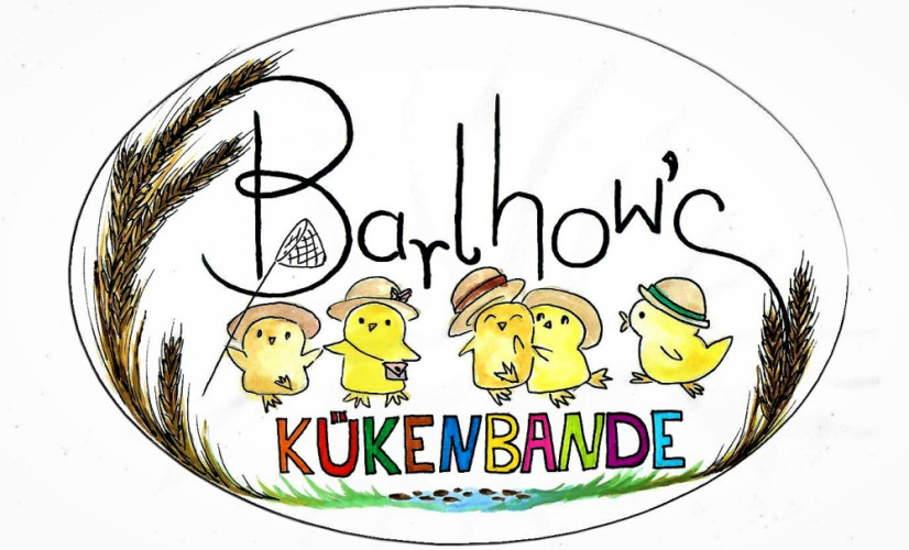 Barlhow´s Kükenbande